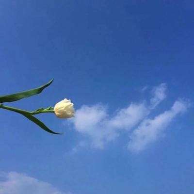九州海上牧云记4399正版下载