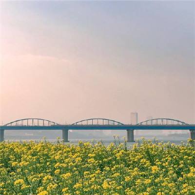 跑商模拟器游戏下载