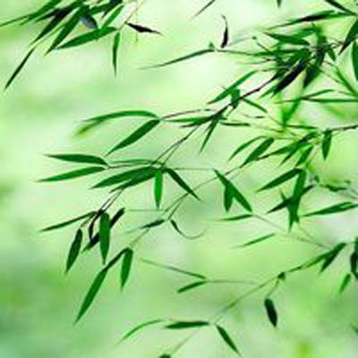 飘渺雪域手游下载